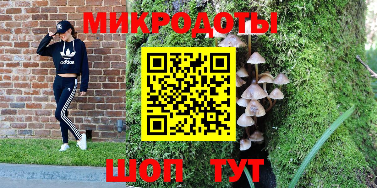 Псилоцибиновые грибы мицелий Волгоград
