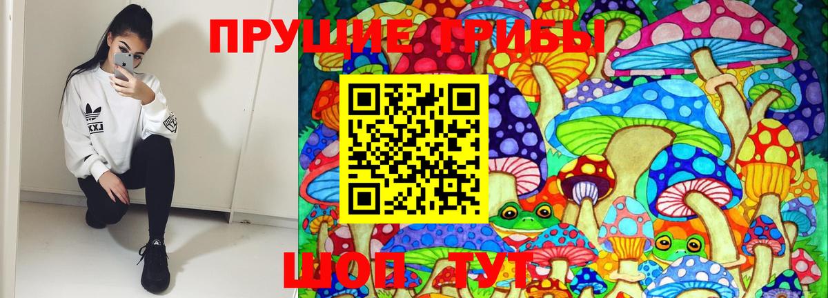 Волгоград  Псилоцибиновые грибы Cubensis  Вход с VPN 